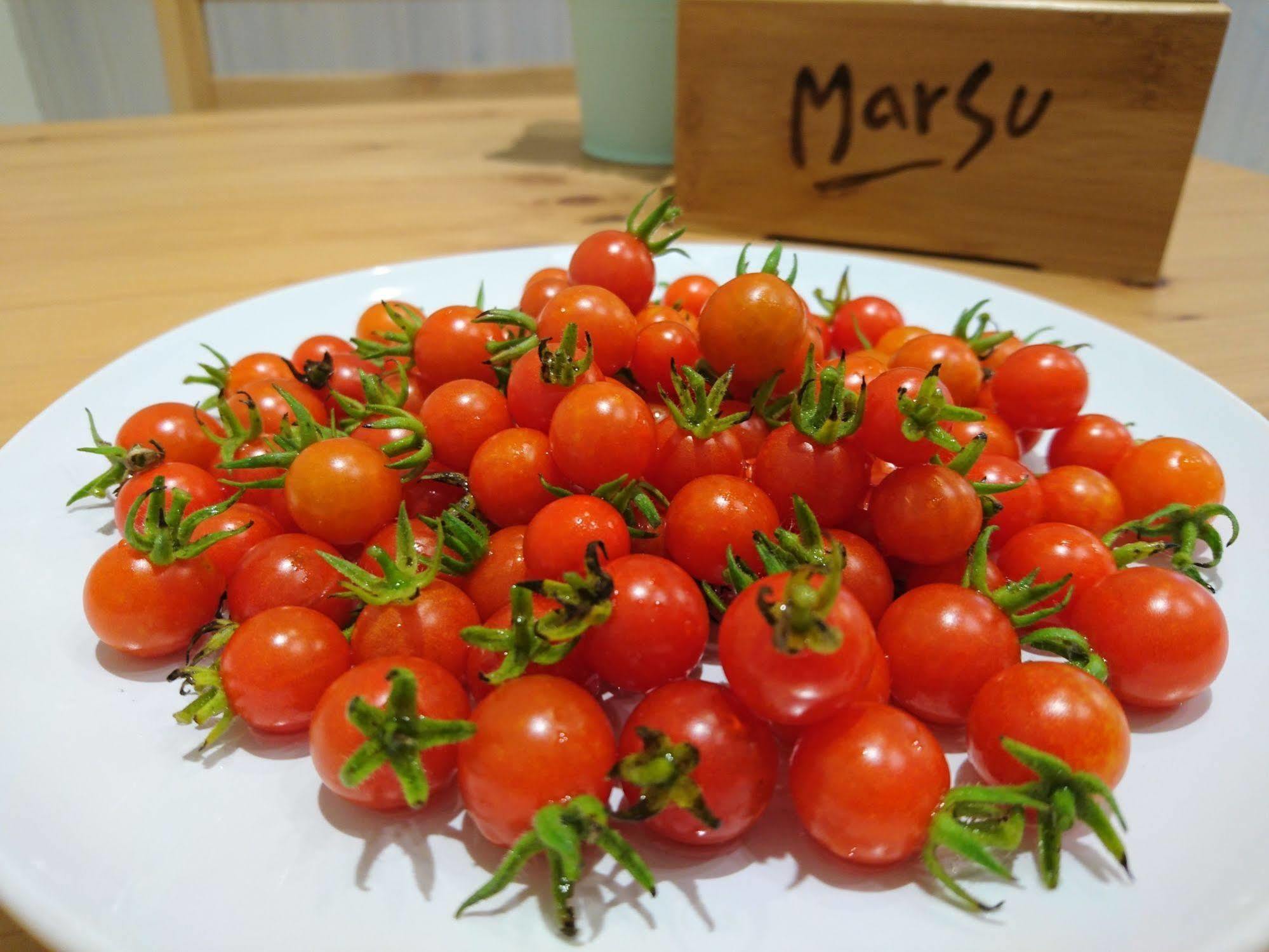 Marsu Xincheng B&B Xincheng Township Dış mekan fotoğraf